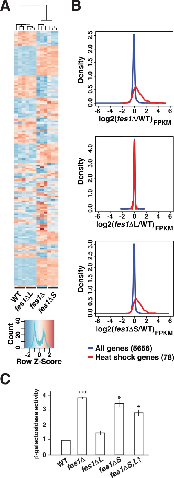 FIGURE 5: