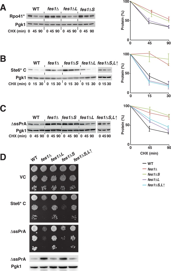 FIGURE 6: