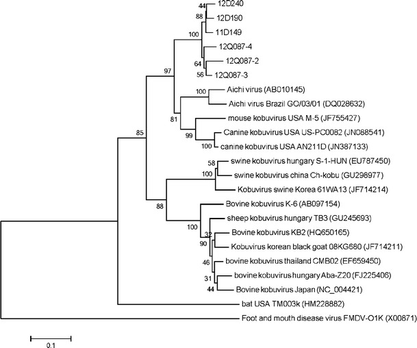 Fig. 1