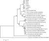 Fig. 1