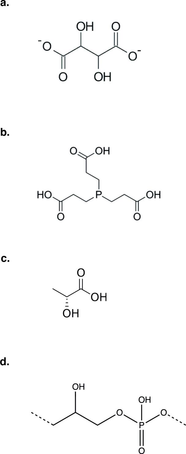 Figure 3—figure supplement 1.