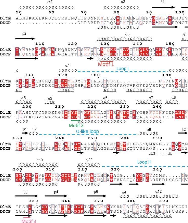 Figure 1—figure supplement 1.