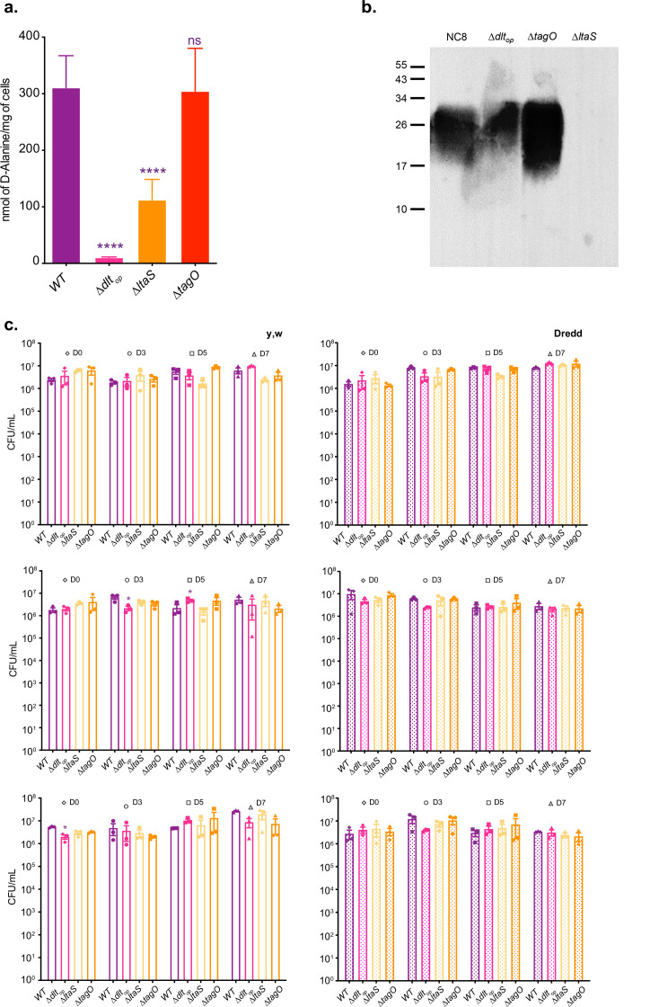 Figure 5—figure supplement 1.