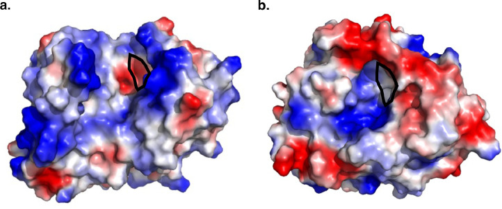 Figure 3—figure supplement 6.