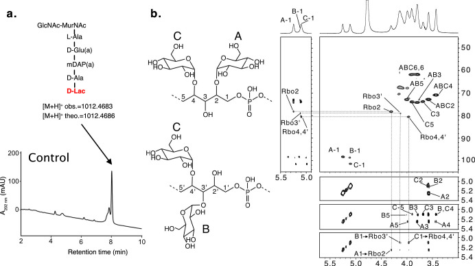 Figure 3—figure supplement 2.