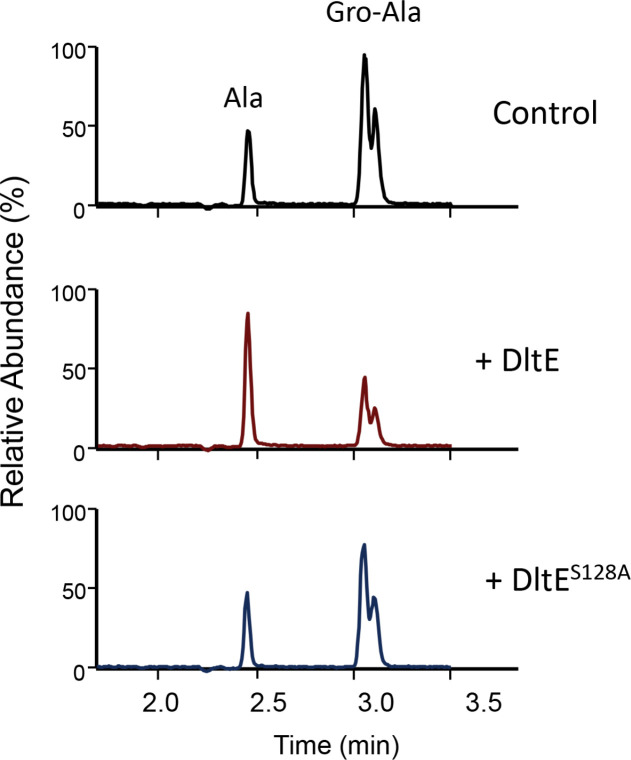 Figure 3—figure supplement 4.