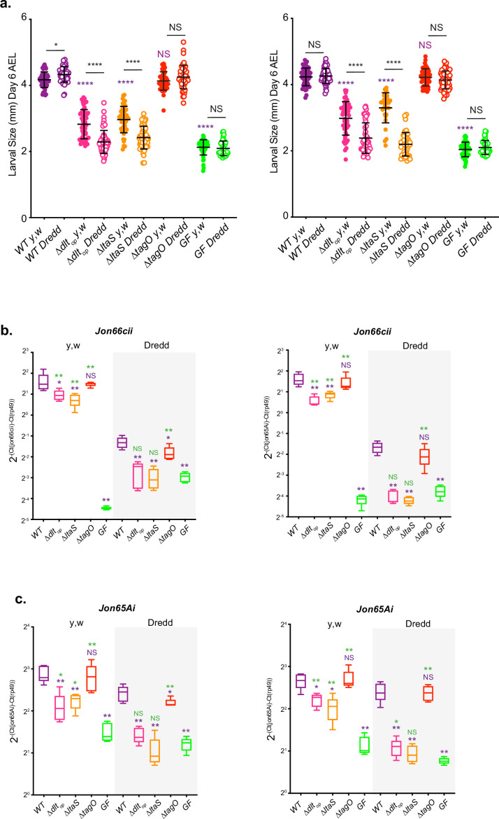 Figure 5—figure supplement 2.