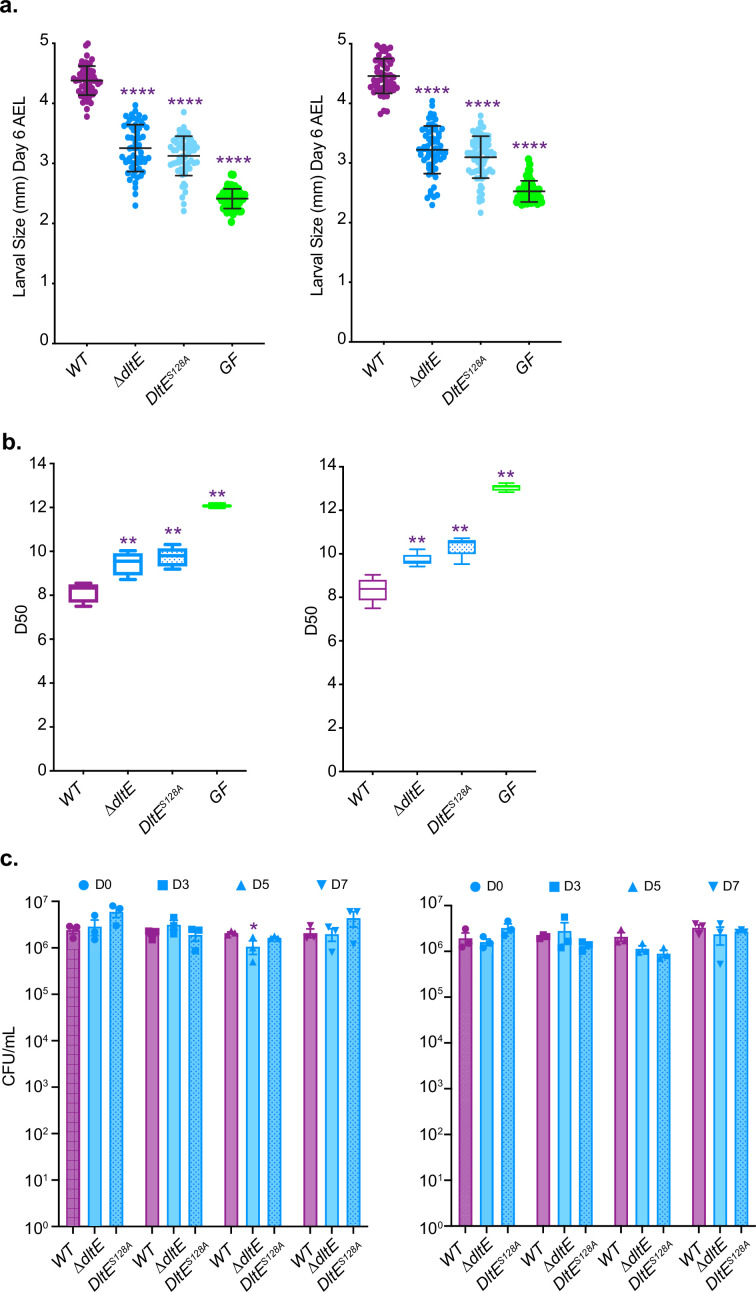 Figure 4—figure supplement 1.