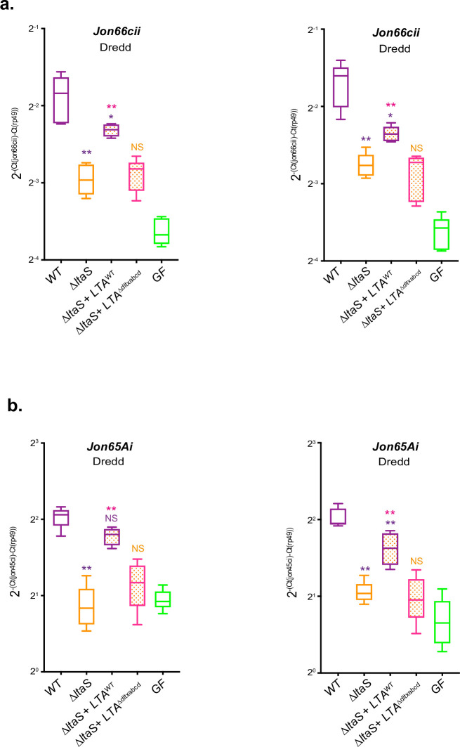 Figure 6—figure supplement 2.