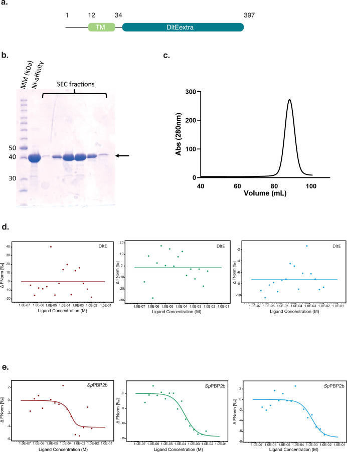 Figure 1—figure supplement 2.