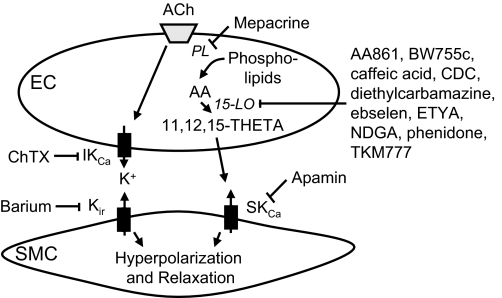 Fig. 4.