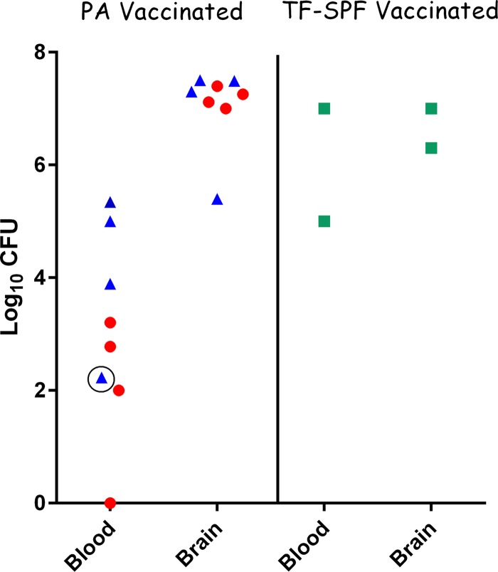 FIG 5