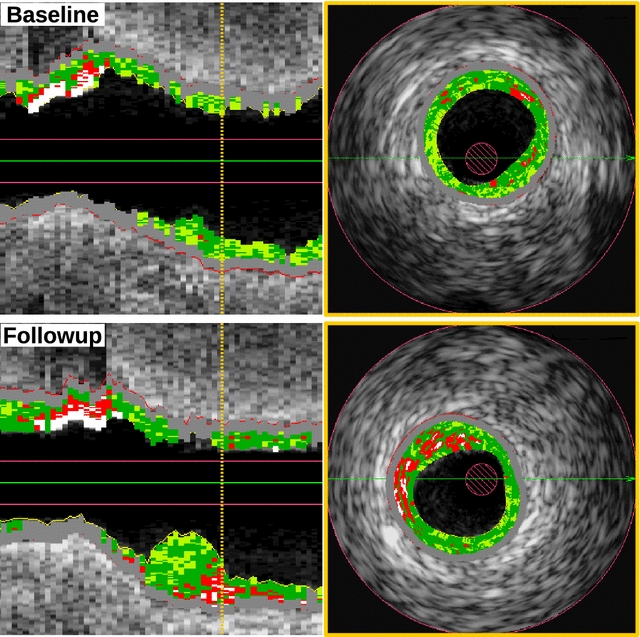 Fig. 7