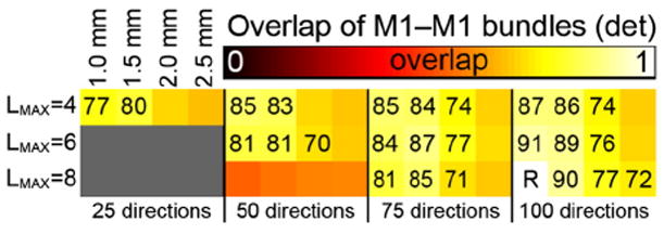 Fig. 8