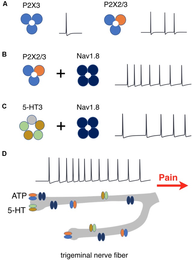 Figure 10