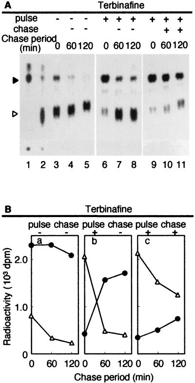 FIG. 5.