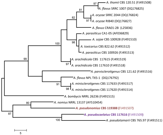 Fig. 7.