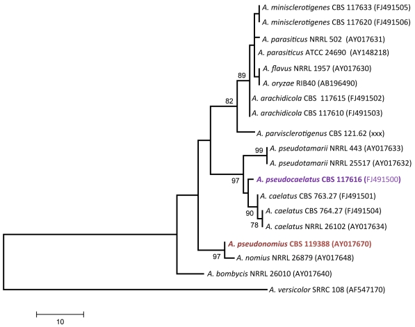 Fig. 6.