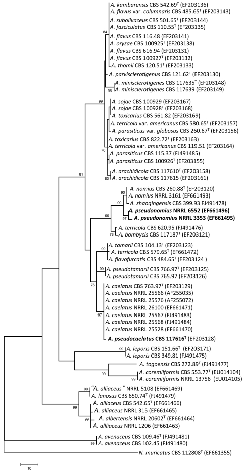 Fig. 2.