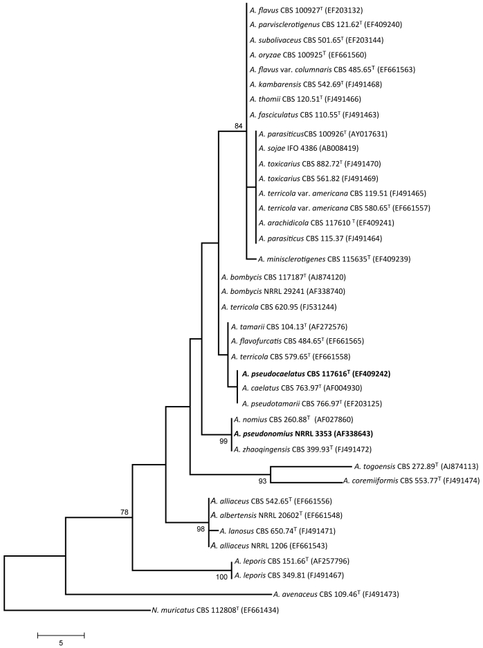 Fig. 3.