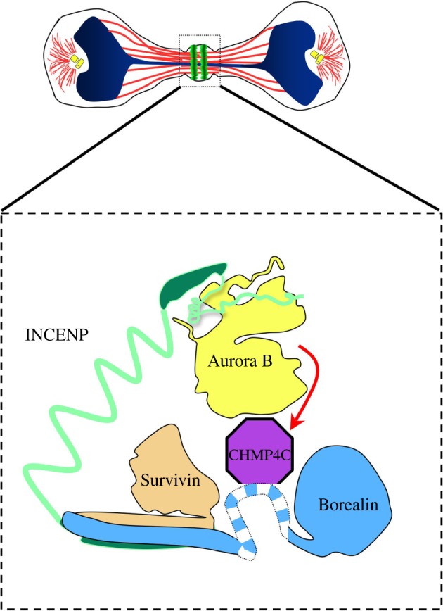 Figure 2.