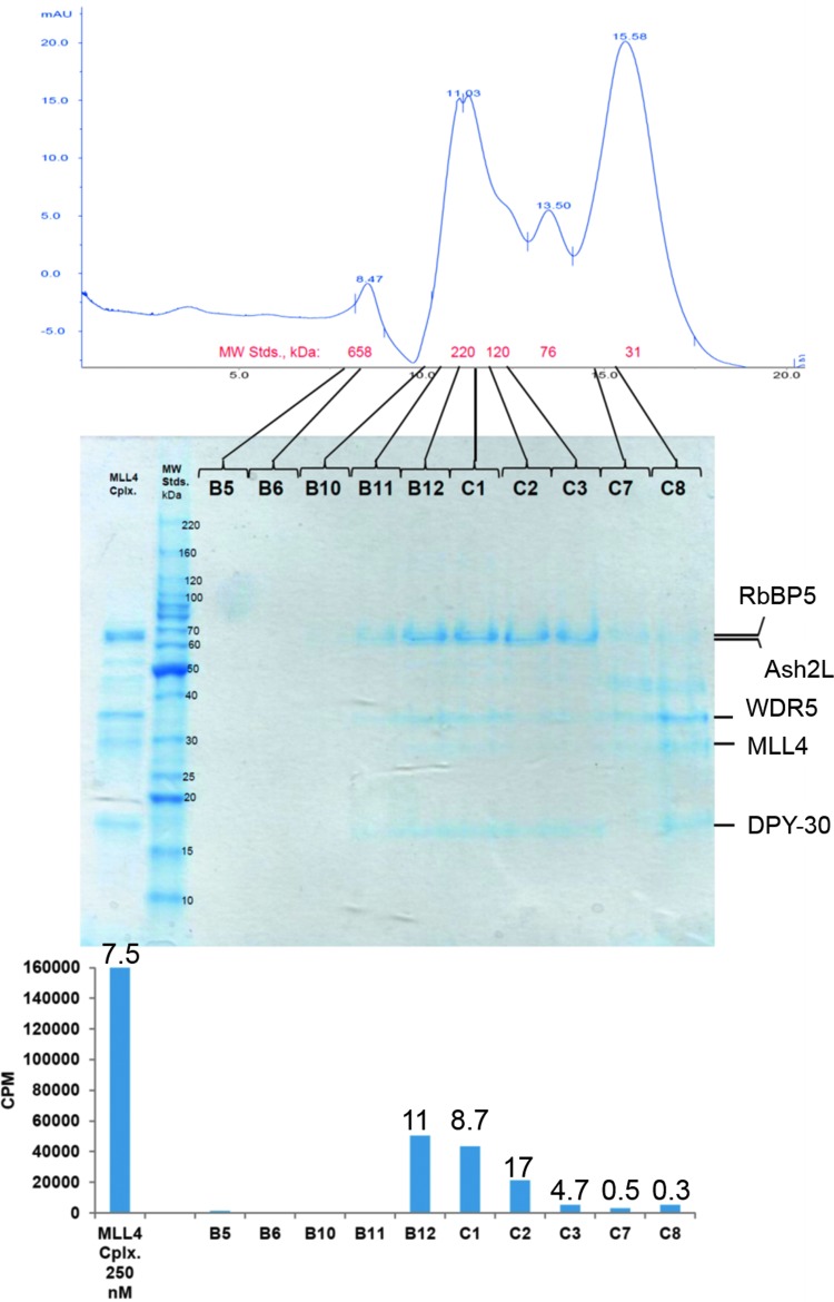 Fig. 2.