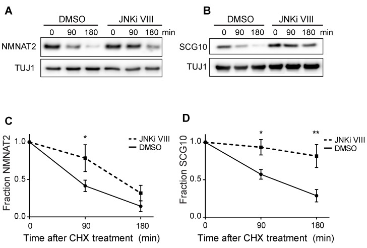 Figure 5—figure supplement 1.