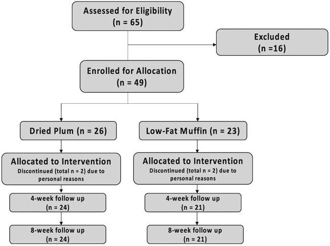 Fig. 1 –