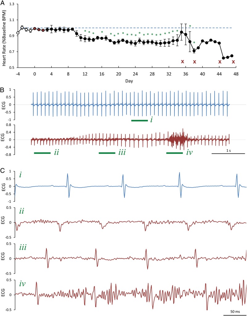 Figure 6