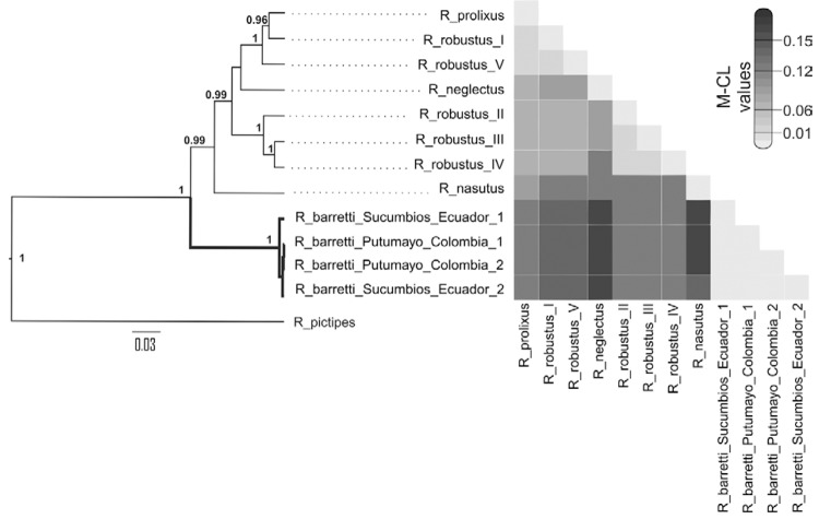 Fig. 4