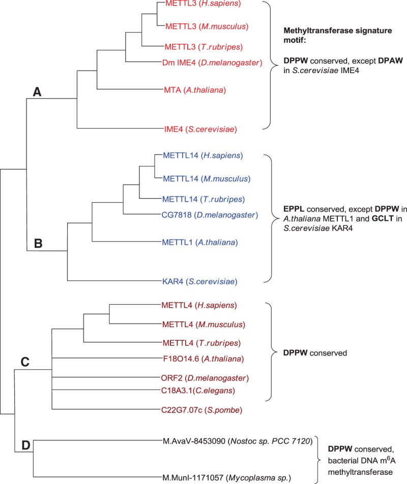 Figure 3.