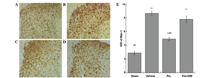 Figure 5.