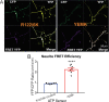 Supplemental Figure 2