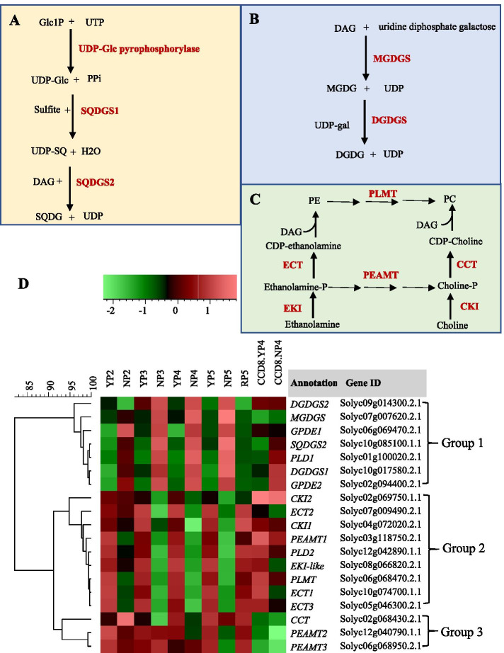 Fig. 6