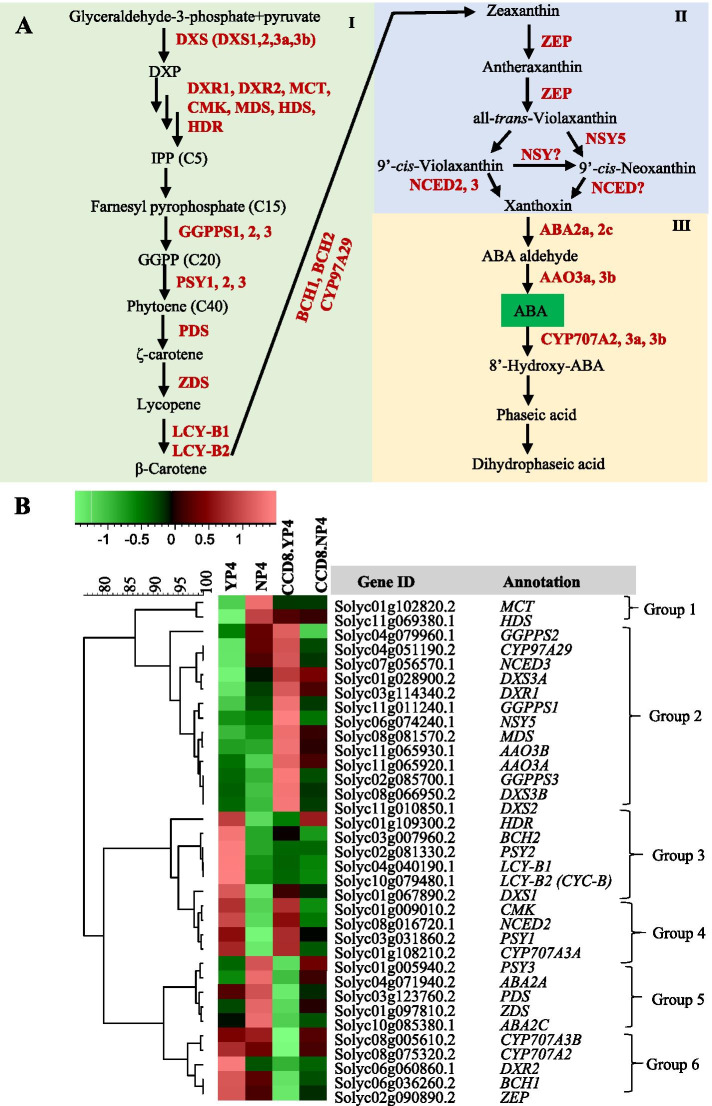 Fig. 8