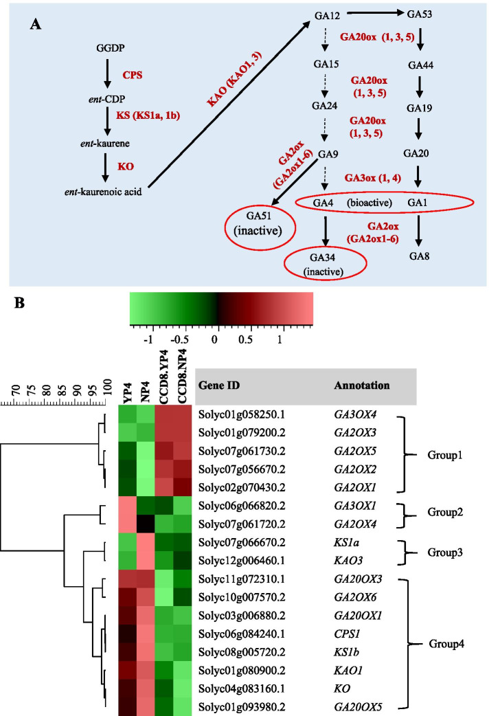 Fig. 7