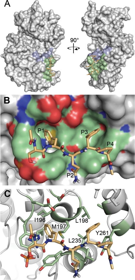 FIGURE 6.