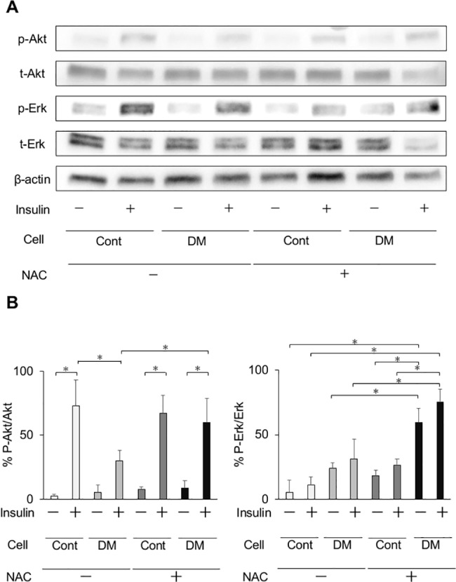 Fig 11