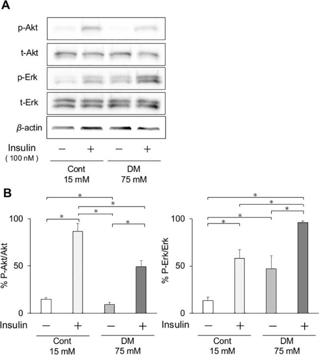 Fig 10