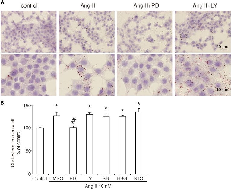 Fig. 3.