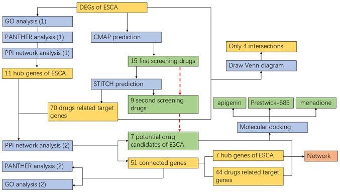 Figure 11