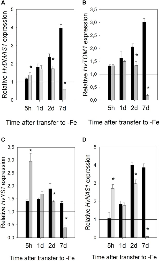 FIGURE 6