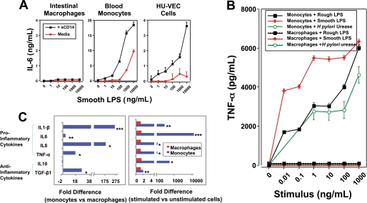 FIGURE 1.