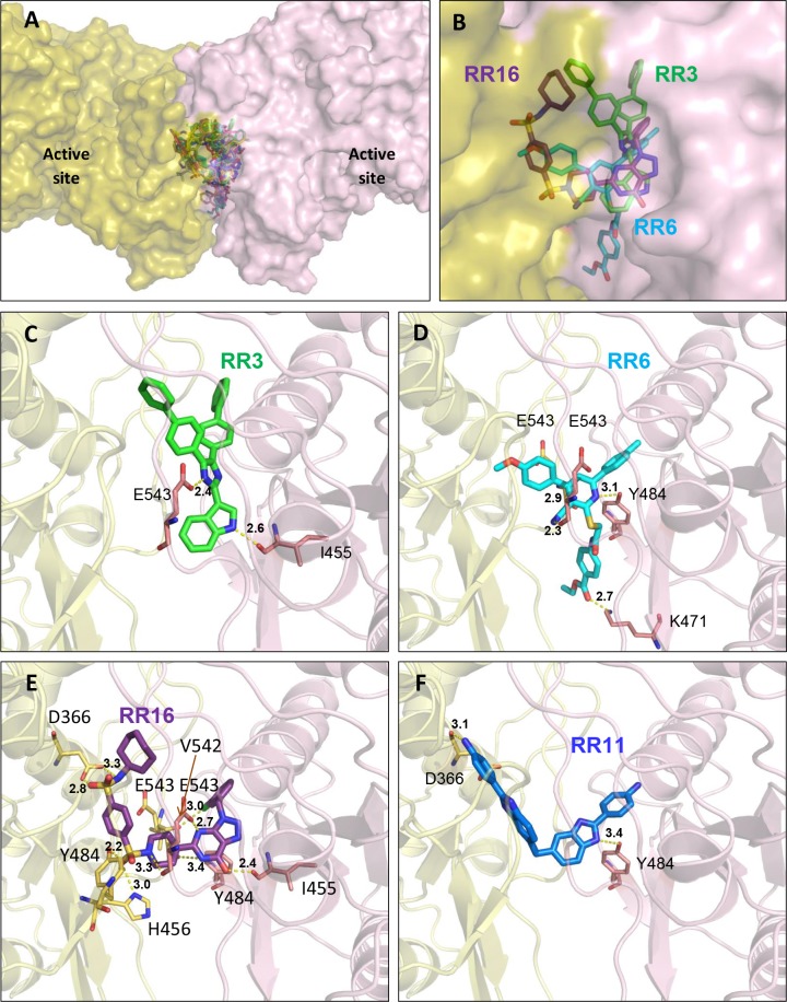 Fig 6