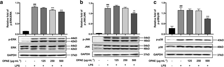 Fig. 7