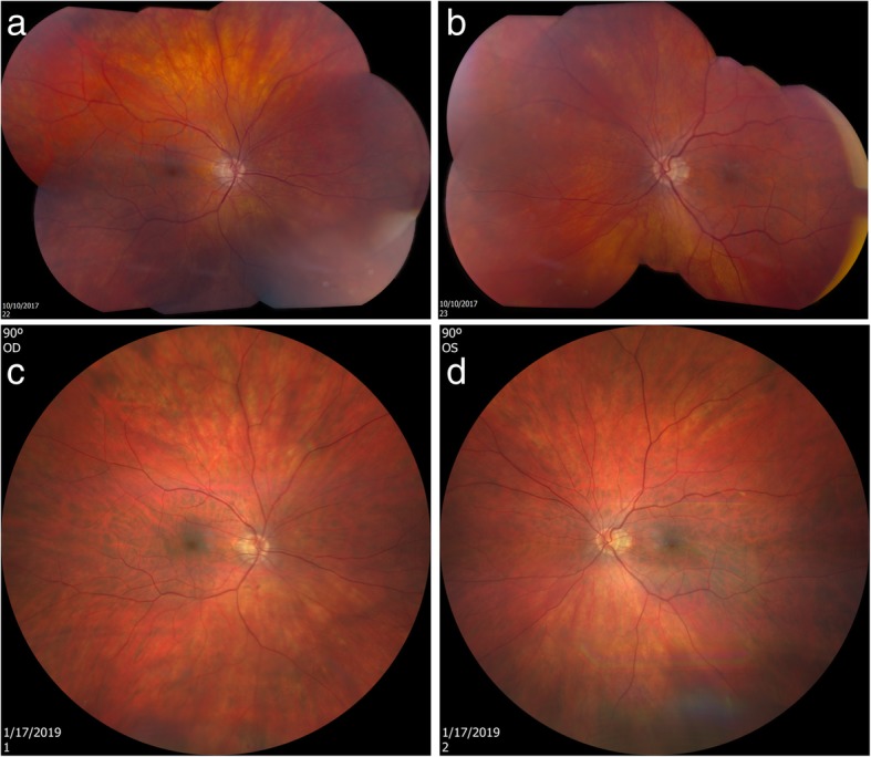 Fig. 8