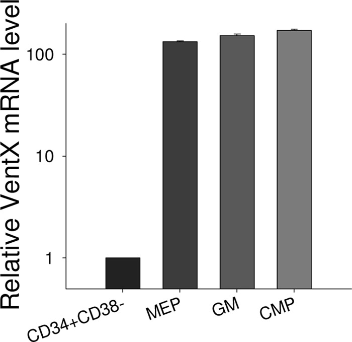 FIGURE 1.