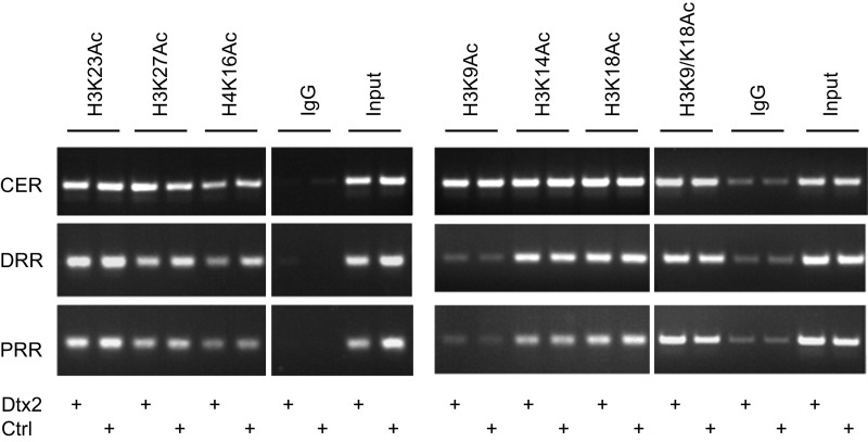 Fig. S6.