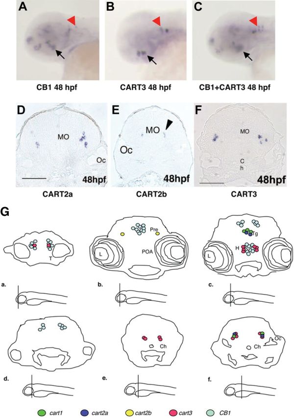 Fig. 2.