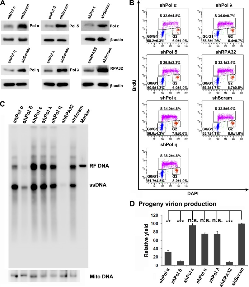 FIG 6